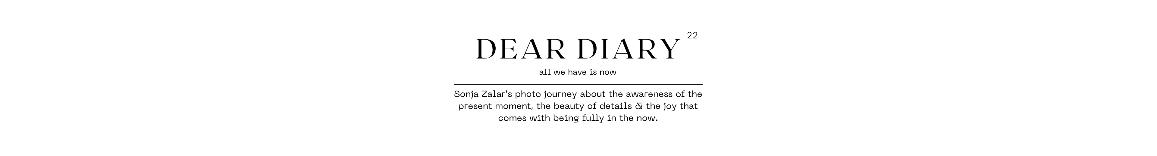 Dear Diary 22 banner